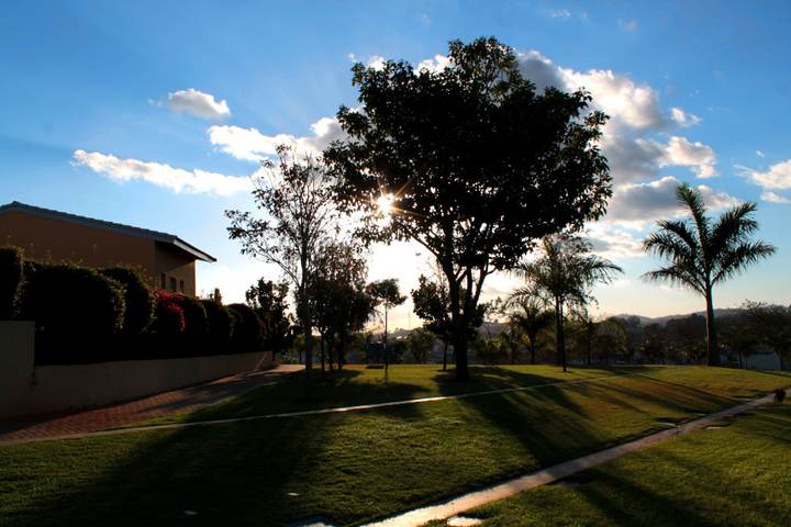 Quadra Jacarandás, com árvores e gramado contínuo