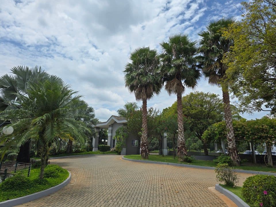 Alameda de entrada do Valle das Colinas, entre palmeiras